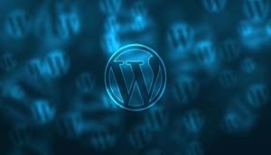 wordpress training