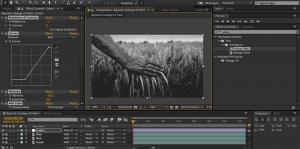 Adobe After Effects Courses Vancouver and Motion Design