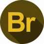 Adobe Bridge courses for beginners Adobe Bridge courses for beginners