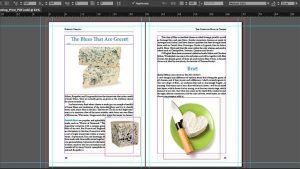 Formation continue pour apprendre InDesign CC Formation continue pour apprendre InDesign CC