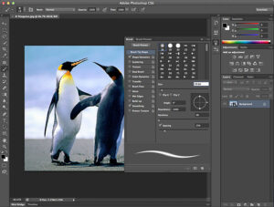 Adobe Photoshop corporate training in Ottawa and Gatineau