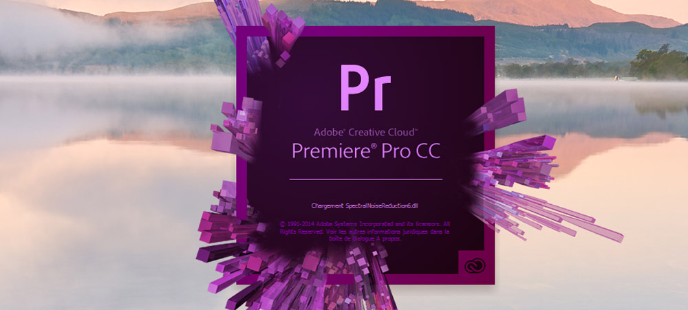 Adobe Premiere CC video editing training in person and by videoconference via wecam and Zoom in Gaspésie and Outaouais