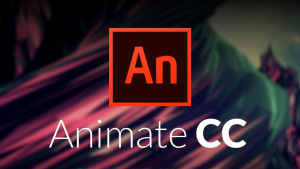 adobe flash animate course montreal 2d workshop